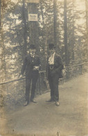 Social History Souvenir Photo Postcard Hunde Elegant Young Men In Nature - Fotografie