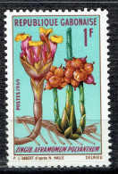 Fleurs : Zingib Aframomum Polyanthum - Gabón (1960-...)