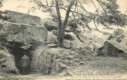 77 - FORET DE FONTAINEBLEAU - ROCHER DU POINT DE VUE - Autres & Non Classés