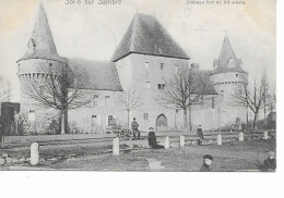 Solre Sur Sambre Chateau Fort (Erquelinnes) - Erquelinnes