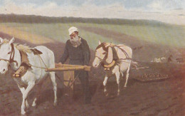 ILLUSTRATEUR(LAPINA) TOLSTOI(CHEVAL) - Paintings