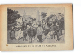 Phénomènes De La Ferme De PLOUGASTEL -  état - Plougastel-Daoulas