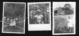 3x Orig. Foto Um 1930 Kleine Jungen Jungs Spielen, Kaninchen, Sweet Little Boys Playing, Rabbit, Toy, Scooter - Persone Anonimi