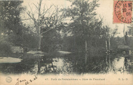 77 - FORET DE FONTAINEBLEAU - MARE DE FRANCHARD - Fontainebleau