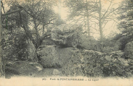 77 - FORET DE FONTAINEBLEAU - LE CAPTIF - Fontainebleau