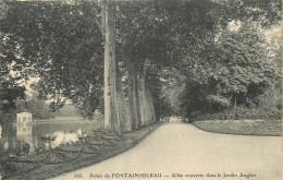 77 - PALAIS DE FONTAINEBLEAU ALLEE COUVERTE DANS LE JARDIN ANGLAIS - Fontainebleau