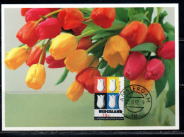 NETHERLANDS PAESI BASSI HOLLAND NEDERLAND OLANDA 1992 FLORA FLOWERS TULIPS 70c MAXI MAXIMUM CARD CARTE - Cartes-Maximum (CM)