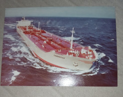 Ancienne Photo 1983 Du Bateaux Camargue - Boten