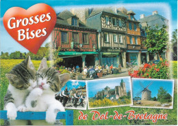 Chats - Grosses Bises De DOL-DE-BRETAGNE - 4 Vues  Et 2 Petits Chatons - Cpm - Vierge - Cats