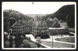 AK Bad Niedernau, Teilansicht Aus Der Vogelschau  - Andere & Zonder Classificatie