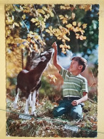 KOV 506-27 - DEER, CERF, FAWN, FAON, CHILDREN, ENFANT - Andere & Zonder Classificatie