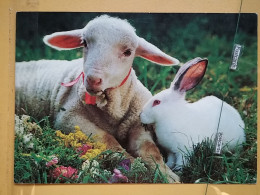 KOV 506-26 - RABBIT, LAPIN, SHEEP, MOUTON - Sonstige & Ohne Zuordnung