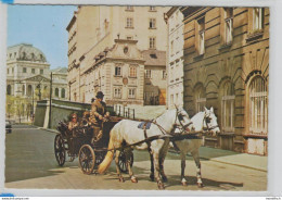 Wien - Dreimäderlhaus - Fiaker Mit Schimmel - Pferde - Caballos