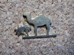 Pin's - Chameau Doré - Camel - Dieren