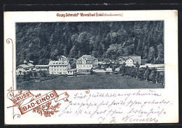 AK Bad-Einöd /Ober-Steiermark, Georg Schmalzl`s Mineralbad Einöd  - Other & Unclassified