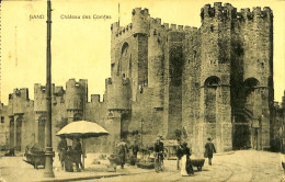 Belgique - Flandre Orientale - Gent - Gand -  Château Des Comtes - Gent