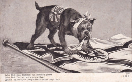 ILLUSTRATEUR(LAPINA) MILITAIRE(CHIEN) - Schilderijen