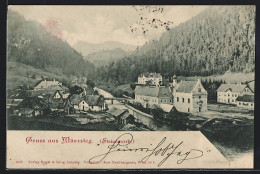 AK Mürzsteg, Gruss Mit Der Mürz Und Kirche  - Other & Unclassified