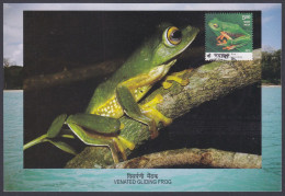 Inde India 2012 Maximum Max Card Venated Gliding Frog, Frogs, Indian Biodiversity, Flower, Flowers - Storia Postale