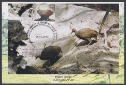 Inde India 2012 Maximum Max Card Nicobar Megapode, Bird, Birds, Biodiversity, WIldlife - Storia Postale