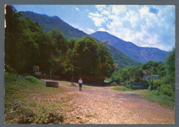 °°° Cartolina - Supino Fontana Della Colonia E Monte Gemma - Nuova °°° - Frosinone