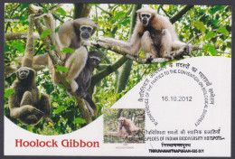 Inde India 2012 Maximum Max Card Hoolock Gibbon, Monkey, Indian Biodiversity, Tree, Trees, Wildlife, Wild Animals - Cartas & Documentos