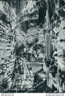 Bi338 Cartolina Grotte Di Castellana Il Tempio Provincia Di Bari - Bari