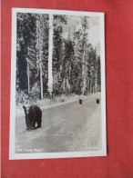 RPPC.  Bears Going Places.    Ref 6409 - Ours