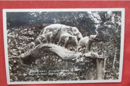 RPPC.   Bernheimer Residence Japanese Gardens Elephant Statues RPPC Los Angeles CA    Ref 6409 - Elefantes