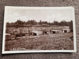 Carte Postale VERDUN : Bois Des Caures - Verdun