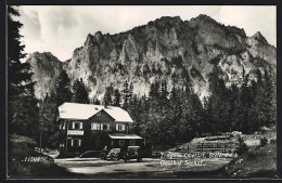 AK Tragöss-Oberort, Steiermark, Gasthof Seehof  - Andere & Zonder Classificatie