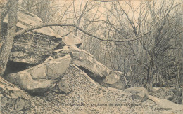 Vallée De Chevreuse. Les Roches Des Vaux De Cernay - Chevreuse