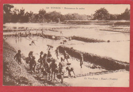 Indochine - Tonkin -Ramasseurs De Crabes - Vietnam