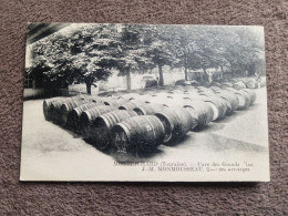 Carte Postale MONTRICHARD : Cave Des Grands Vins - Montrichard