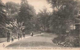 FRANCE - Tours - Jardin Botanique Fondé Par Margueron - L'Allée Des Bananiers - A.B - Animé -  Carte Postale Ancienne - Tours