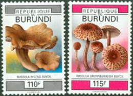 BURUNDI 1993 - Champignons - II - Champignons