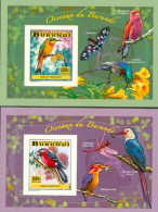 Burundi 2014 - Les Oiseaux Du Burundi - Oiseaux Chanteurs - 4 Blocs De Luxe ND - Neufs