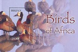 BURUNDI 2004 - Oiseaux D'Afrique - Dendrocygnes Veufs - Bloc - Nuevos