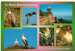 Le Haut-Koenigsbourg Et Ses Environs Pittoresques - Other & Unclassified