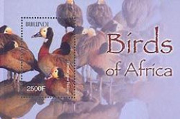 BURUNDI 2004 - Oiseaux D'Afrique - Dendrocygnes Veufs - Bloc - Anatre