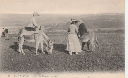 LE TREPORT SUR LA FALAISE PROMENADE A ANE TBE - Le Treport