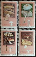 Ciskei 1987 Edible Mushrooms MNH - Pilze