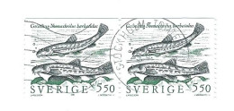 Svezia, SUEDE,Sweden 1991 ; Coppia Attaccata Di Pesci , Fish ; Usati - Fische