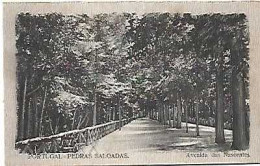 Portugal ** & Postal, Pedras Salgadas, Avenida Das Nascentes (688888) - Vila Real