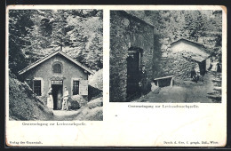 Cartolina Levico, Grotteneingang Zur Levicostarkquelle, Grotteneingang Zur Levicoschwachquelle  - Altri & Non Classificati