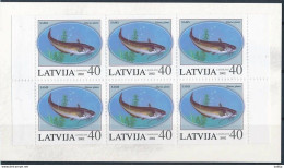 Latvia, Mi 575 ** MNH, Markenheft, Booklet / Fish, Wels Catfish, Silurus Glanis / AMPHILEX 2002 - Poissons