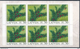 Latvia, Mi 588 ** MNH, Markenheft, Booklet / Plant, Common Yew, Taxus Baccata / PHILATELIA Cologne 2003 - Giftige Pflanzen