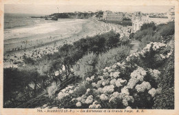 FRANCE - Biarritz - Les Hortensias Et La Grande Plage - Carte Postale Ancienne - Biarritz