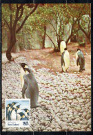 NEW ZEALAND NUOVA ZELANDA 1990 BIRD FAUNA EMPEROR PENGUIN 1.50$ MAXI MAXIMUM CARD CARTE - FDC