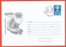 Bulgaria, Bulgarie 1998; Gatto Persiano, Chat Persan, Persian Cat, Katze: FDC With Cat, Postal Stationery - Chats Domestiques
